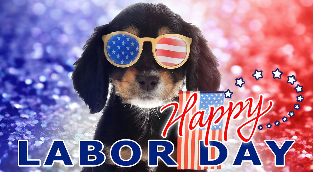 Labor Day Sale - MyHairMail