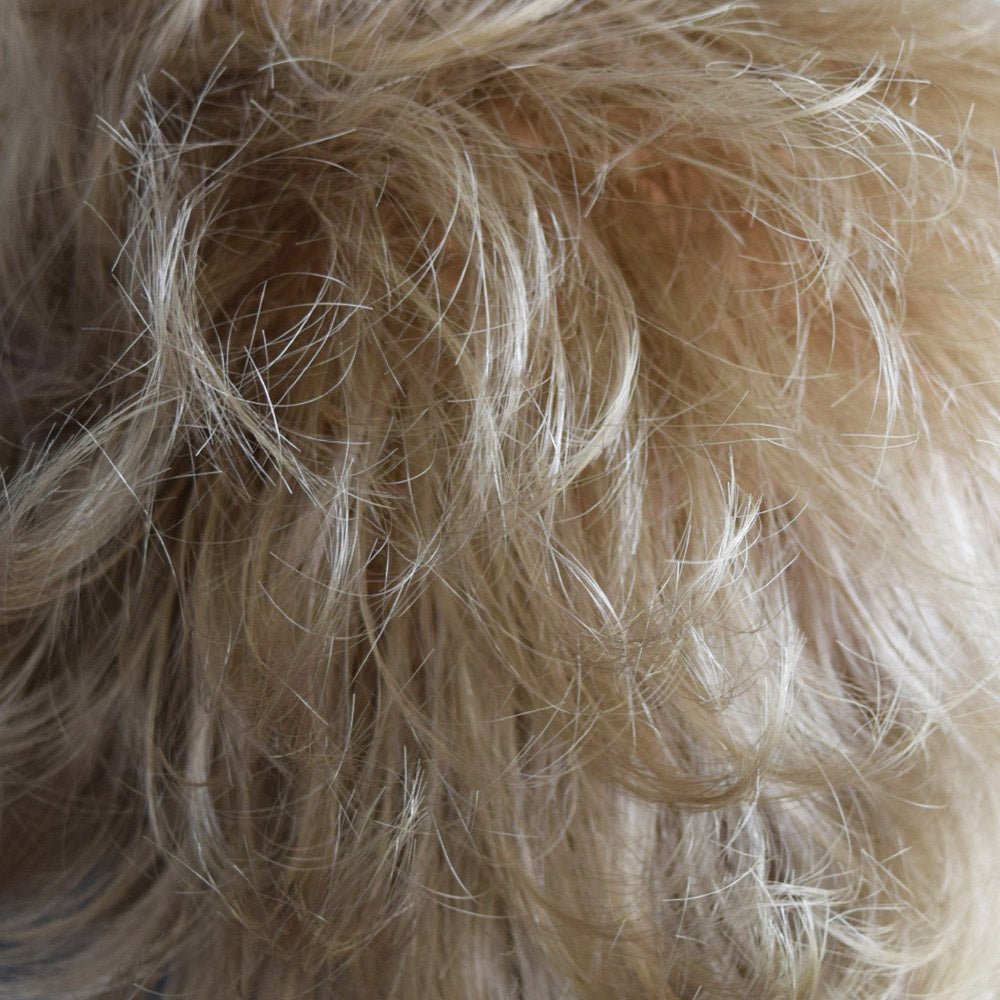 559 Sophie by Wig Pro: Synthetic Hair Wig - MyHairMail Wigs